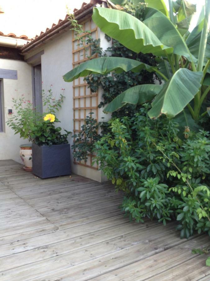 Appartamento Soleil Lotus Saint-Hilaire-de-Brethmas Esterno foto